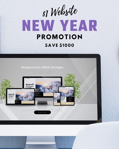 $1 website, new year promo